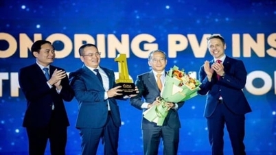 PVI - 30 שנה: מתעשיית הנפט והגז למוסד ביטוח ופיננסי.