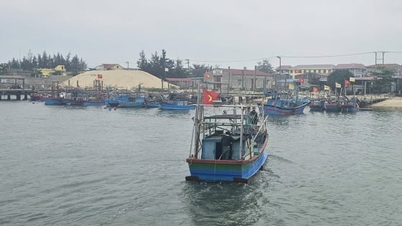 W prowincji Quang Tri przebudowano ponad 770 statków rybackich.