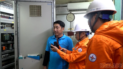 Ensuring a safe and continuous power grid for peak production periods leading up to Tet (Lunar New Year).