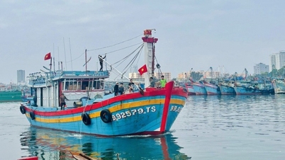 ក្រឹត្យថ្មីណែនាំការអនុវត្តច្បាប់ស្តីពីជលផល៖ ការរឹតបន្តឹងការគ្រប់គ្រងនាវានេសាទ និងការប្រយុទ្ធប្រឆាំងនឹងការនេសាទខុសច្បាប់ និងខុសច្បាប់ (IUU)។
