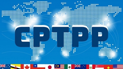 เวียดนามเตรียมรับตำแหน่งประธาน CPTPP ในปี 2026