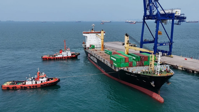 Indonesia sedang mengeksport semula sisa elektronik berbahaya ke Amerika Syarikat.