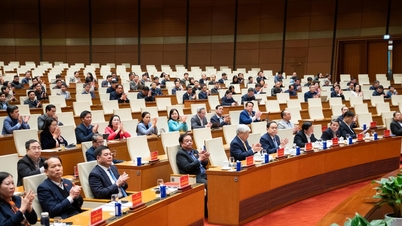 Przewodniczący Zgromadzenia Narodowego Tran Thanh Man przewodniczył konferencji, na której szybko ogłoszono wyniki XIV Zjazdu Narodowego Partii.