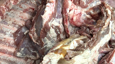 ホーチミン市の寄宿学校に「汚染された」肉が密輸された事件の真相。