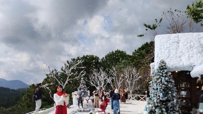 Resor under det kinesiska nyåret 2026 (Hästens år): Da Lat och Phu Quoc leder söktrenderna.