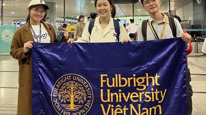 Tre studenter kommer att representera Vietnam vid HUAP 2026-konferensen vid Harvard University.