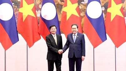 L'Assemblea nazionale vietnamita è pronta a condividere la propria esperienza nella creazione di un parlamento digitale con l'Assemblea nazionale del Laos.