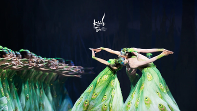 Yang Liping's ballet 'Peacock' will be performed for the first time in Vietnam.