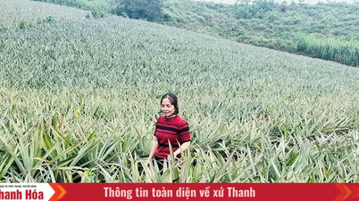 Agribank Thanh Hoa investerer kapital i landbruks- og bygdeutvikling.