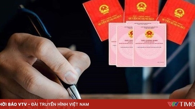 Terenurile ocupate cu titlu de proprietate înainte de 1 iulie 2014 vor fi supuse unor penalități la solicitarea unui certificat de proprietate funciară?
