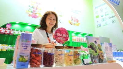 Thabico Group brings advanced processing solutions to Gulfood Dubai 2026.