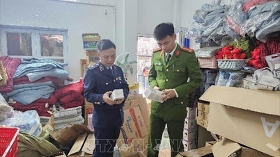 Vergroot de marktcontrole en ondersteun mensen bij de verkoop van artikelen voor de Tet-feestdagen.