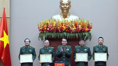 បញ្ជាដ៏ស្មោះស្ម័គ្រនៃយុទ្ធនាការ Quang Trung