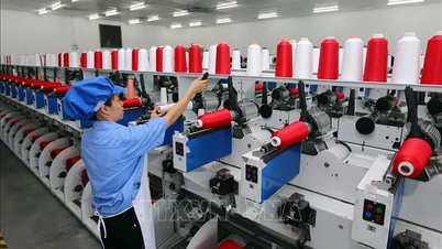 Điểm đến của dòng vốn ngoại