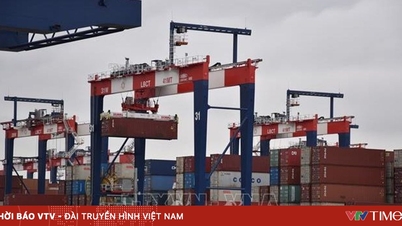 EP hoãn đưa ra quyết định về thỏa thuận thương mại với Mỹ