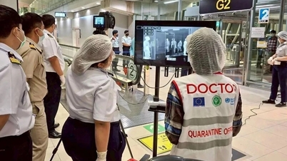 В связи с продолжающейся вспышкой вируса Нипах в Индии многие страны усиливают санитарные проверки.