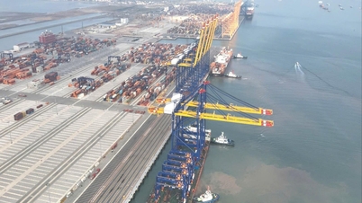 Lebih 808,000 TEU telah melalui Pelabuhan Kontena Antarabangsa Hateco selepas 11 bulan beroperasi.
