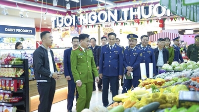 응에안성 제389운영위원회는 국도 48호선과 국도 7호선을 따라 위치한 동/면의 밀수, 무역 사기 및 위조 상품 방지 및 단속 현황을 점검했습니다.