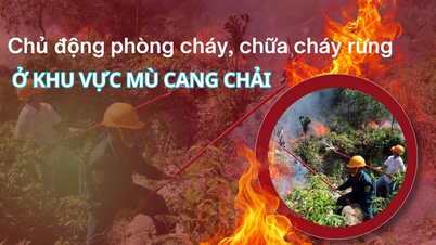 Prevenirea și controlul proactiv al incendiilor forestiere în zona Mu Cang Chai.