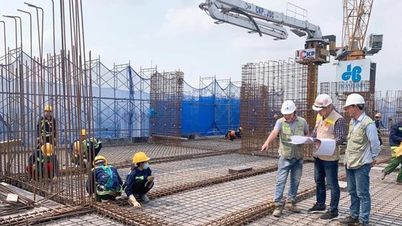 Promoting legal support for small and medium-sized enterprises in the construction sector.