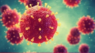 Nipah virüsü nedir ve ne kadar tehlikelidir?