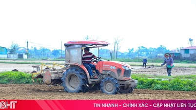 Hối hả khép kín diện tích cây trồng chủ lực vụ xuân