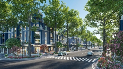 "Limited-edition residences" at Eurowindow Central Avenue - luxurious living.
