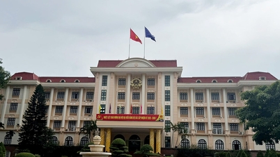 Bac Ninh eyaleti, Thuan Thanh mahallesindeki değerli tıbbi bitki projesiyle ilgili denetim bulgularının titizlikle uygulanmasını talep ediyor.