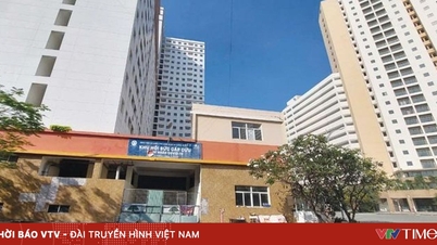 Establish an association for the management and operation of apartment buildings.