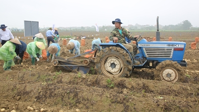 ການເຊື່ອມຕໍ່ກັບທຸລະກິດເພື່ອປັບປຸງປະສິດທິພາບການຜະລິດມັນຕົ້ນ.