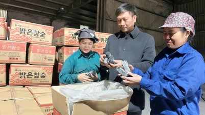Bac Ninh: Transforming plantation waste into exportable goods.