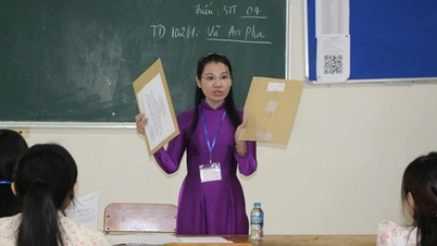 Chi tiết hướng dẫn đăng ký tuyển bổ sung giáo viên tại TPHCM
