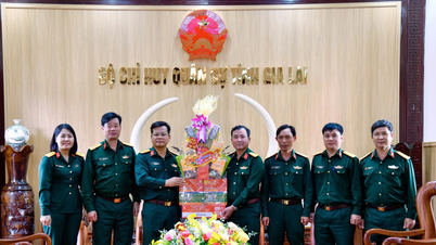 កងពលតូចទ័ពជើងគោកលេខ ១៥ អញ្ជើញទៅសួរសុខទុក្ខ និងជូនពរឆ្នាំថ្មីដល់បញ្ជាការដ្ឋានយោធាខេត្តយ៉ាឡាយ។
