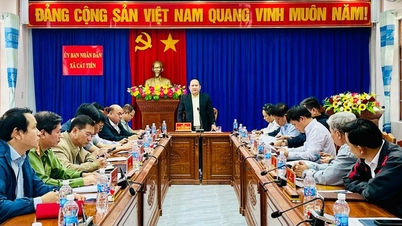 Gia Lai: A Hazafront központi szerepének előmozdítása a választási munkában.