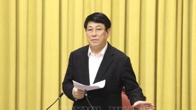 Presidente Luong Cuong: Hagan buenos preparativos para servir al pueblo en la celebración del Año Nuevo Lunar del Caballo.