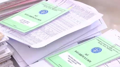 Gia Lai: Peste 450 de unități întârzie la plata contribuțiilor la asigurări, ceea ce face imposibilă recuperarea.