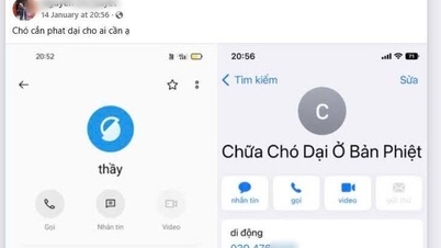 คำเตือน: ห้ามรักษาโรคพิษสุนัขบ้าด้วยยาแผนโบราณ