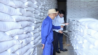 Người dân 5 địa phương nhận gạo hỗ trợ dịp Tết và giáp hạt đầu năm
