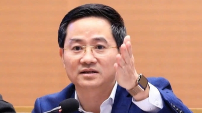 Herr Tran Anh Tuan er blitt avskjediget fra sin stilling som medlem av Hanois folkekomité.