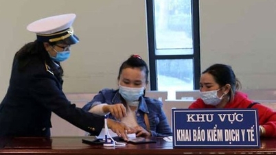 Note for those returning to Ho Chi Minh City from areas with the Nipah virus: