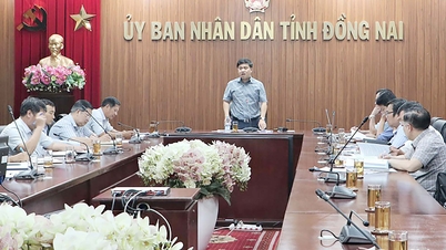Wypłata odszkodowań i zasiłków na rzecz projektu rozbudowy autostrady Ho Chi Minh City-Long Thanh musi zostać zakończona przed Nowym Rokiem Księżycowym 2026.