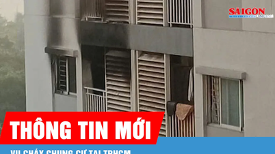 ہو چی منہ سٹی میں اپارٹمنٹ میں آگ: ماں اور بیٹی المناک طور پر ہلاک