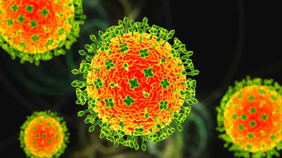 O Vietnã não registrou nenhum caso de infecção pelo vírus Nipah e está implementando medidas de resposta de forma proativa.