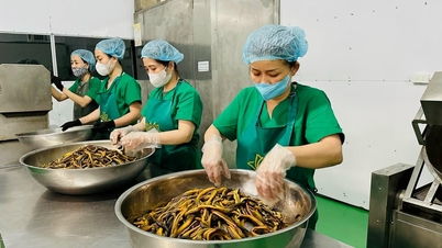 Đón Tết Nguyên đán, thực phẩm nhà làm rộn ràng vào mùa