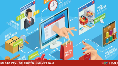 Memerangi penipuan komersial di lingkungan digital.