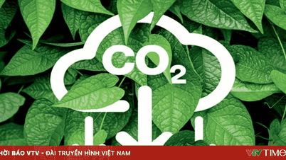 Realizarea unui schimb de carbon.