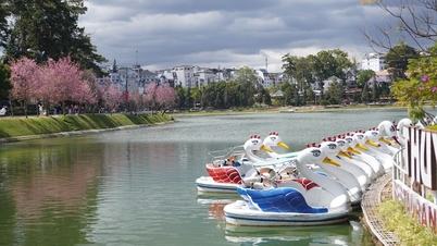 ラムドン省：スアンフーン湖歴史風景名勝地の科学資料の補足と改訂。