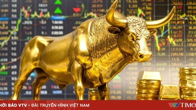 Câmbio de ouro: uma direção sustentável para o mercado.