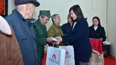 La vice-présidente du Conseil populaire provincial, Pham Thi Minh Xuan, a offert des cadeaux pour le Têt et inspecté les préparatifs électoraux dans la commune de Trung Son.