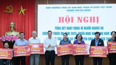 Het Vietnamese Vaderlandsfront van Da Nang heeft meer dan 10 miljard VND gereserveerd ter ondersteuning van de viering van Tet (Vietnamees Nieuwjaar) in het Jaar van het Paard.